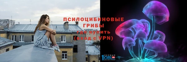 шишки Баксан