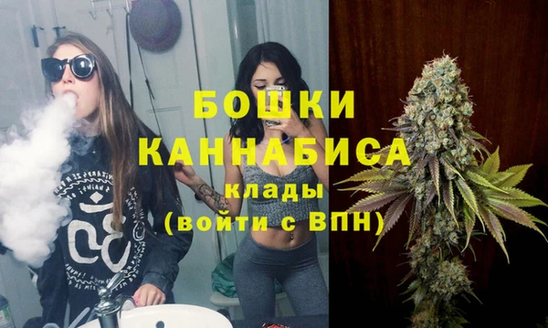 шишки Баксан