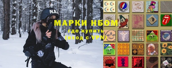 шишки Баксан