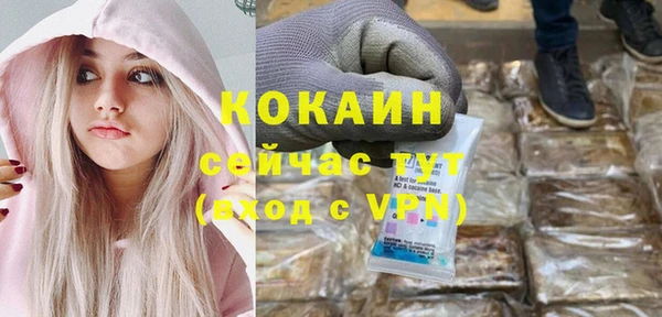 шишки Баксан