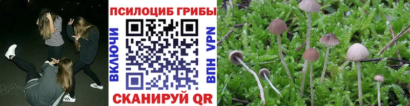 Псилоцибиновые грибы ЛСД  закладка  Заозёрск 