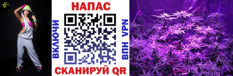 Бошки марихуана Bruce Banner  магазин продажи наркотиков  blacksprut ссылка  Заозёрск 